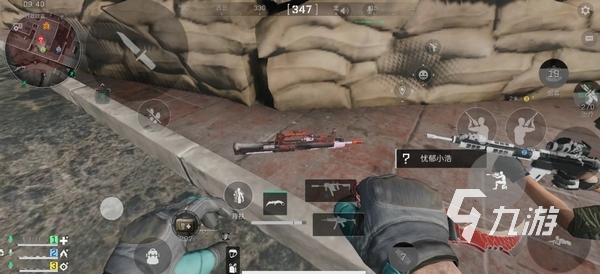 球队的表现 球队的表现