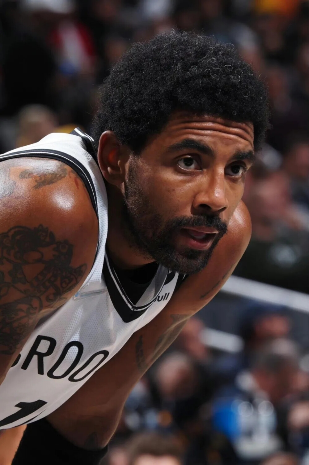 入湖北更擅 入湖北更擅